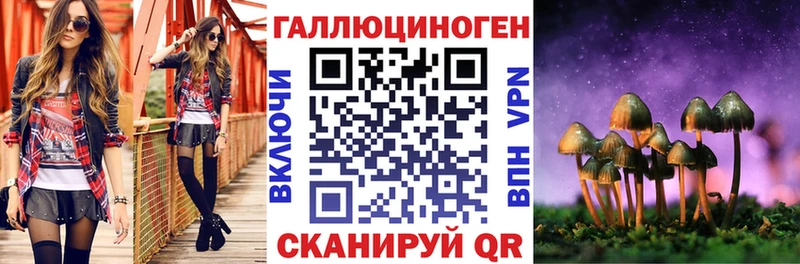 Псилоцибиновые грибы Psilocybe  Ачхой-Мартан 